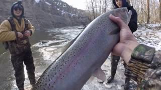 Floating Spawn For Trophy Steelhead