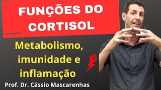 Funções do cortisol metabolismo sistema imune e resposta inflamatória