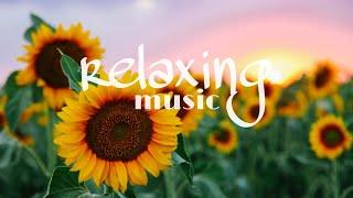 Chill music for relaxation Relaxing Sleep Music Meditation Music Soothing Relaxation Deep Sleep