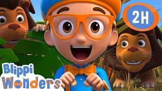 Lions  Blippi Wonders  Preschool Learning  Moonbug Tiny TV