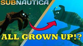 Finding the Juvenile Sea Emperors Subnautica