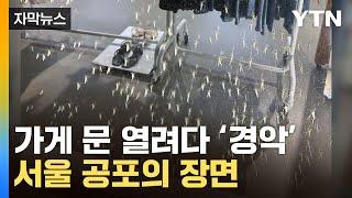 자막뉴스 우글우글 서울 뒤덮었다...소름 끼치는 장면  YTN