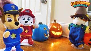 Toy Learning Videos for Kids Paw Patrol Halloween and Home Alone Skits