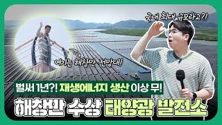 벌써 1년... 1주년 맞이한 해창만 수상 태양광 발전소 직접 가봤습니다 1편