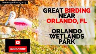 Great Birding SpotsNear Orlando FLOrlando Wetlands ParkThings to do in Orlando