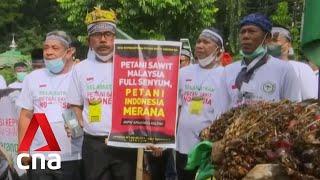 Hundreds of farmers in Indonesia protest against palm oil export ban