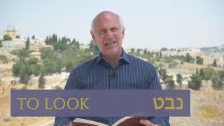 Learn Hebrew Hebrew Gem of the Day To Look