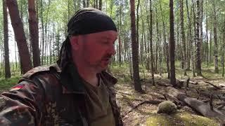 DJI osmo action.Новая камераТест камеры на копе в лесу.