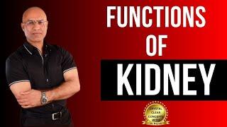Functions of Kidneys  Physiology and Structure  Dr Najeeb