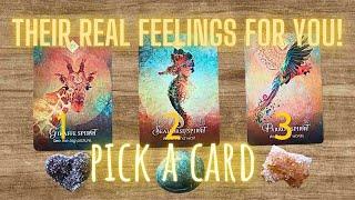  HOW DO THEY FEEL ABOUT YOU? Pick a Card Love Tarot  Find out the truth of their feelings…