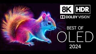 Exceptionally Stunning World in 8K HDR  Dolby Vision™