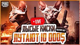 ЛЫСЫЕ КИСКИ ИГРАЮТ ТУРНИР PUBG MOBILE MASTERS WAY ЛУЧШАЯ КОМАНДА ПУБГ МОБАЙЛ ГОТОВА ПОБЕЖДАТЬ?