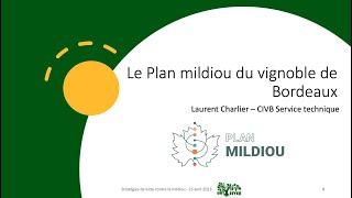 Le plan mildiou du vignoble de Bordeaux