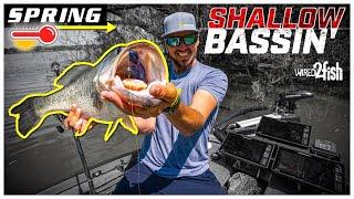 How to Catch Bass in the Spring  Top 5 Tactics