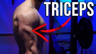 Grow Your Stubborn Triceps SIMPLE FIX