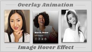 Image Overlay Hover Effect with CSS  Flexbox  CSS Image Hover Effect