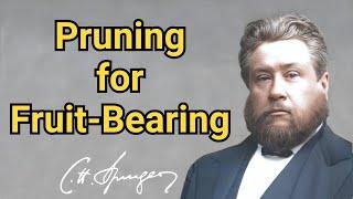 Pruning for Fruit-Bearing  Charles Spurgeon  Updated  Devotional  Faiths Checkbook