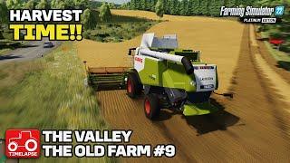 HARVEST TIME The Valley The Old Farm FS22 Timelapse # 9