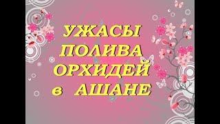АшанУЖАСЫ ПОЛИВА ОРХИДЕЙТЦ КосмопортСамара09.05.2019.