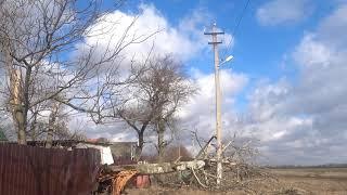 Силой ветра  повалило дерево