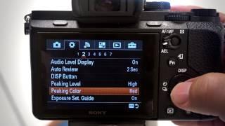 Manual Focus Tools MF Assist and Peaking Levels on Sony Cameras