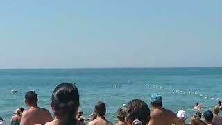 На пляже в станице Благовещенская появились дельфины.