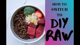 BEST WAY TO SWITCH TO RAW DOG FOOD Tips and Tricks to Start Your Dog on a DIY Raw  Food Diet