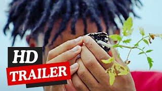 Sacred Soil The Piney Woods School Story Official Trailer 2024 Hulu