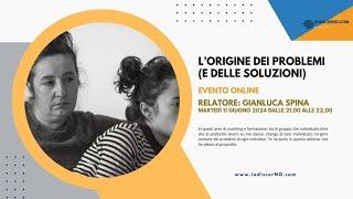 Lorigine dei problemi e delle soluzioni  Webinar