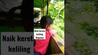 Naik Kereta Macan Keliling Ragunan #kebunbinatang #ragunan #shorts #short #shortvideo