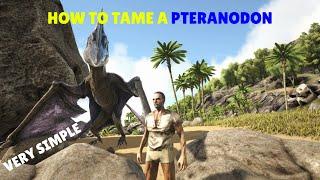 How To Tame a Pteranodon in Ark Survival Evolved