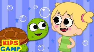 I Had A Little Turtle  + More Animal Songs For Kids  Nursery Rhymes And Kids Songs