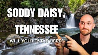 Pros and Cons of Living in Soddy Daisy Tennessee