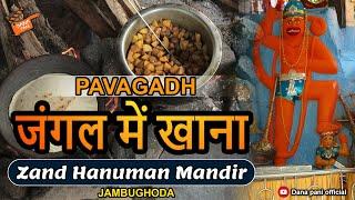 Jungle Mein Khana  PAVAGADH Zand Hanuman Food  Zand Hanuman Mandir  Jambughoda Near Pavagadh