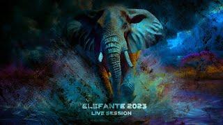 ELEFANTE 2023 Live Session Show completo