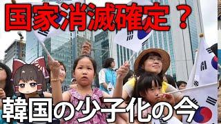 国家継続は困難？今わかる韓国の少子化問題と社会の闇【ゆっくり解説】