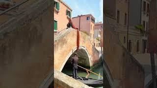 sudden meeting of Rapunzel in Venice #hairgoal #naturalhair #haircare #instahair #longhair #cabelo