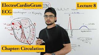 ECG Electrocardiogram  fully explained  Chapter circulation  Video 8