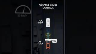 ADAS  coming in different CARS by level  Different levels