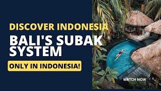 The Ancient Heritage of Bali Uncovering the Subak System