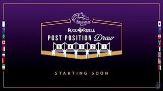2022 Rood & Riddle Breeders’ Cup Post Position Draw