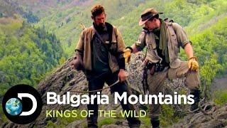 Venison Dinner in the Bulgarian Mountains  Kings of the Wild