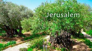 Jerusalem Garden of Gethsemane Pools of Bethesda and Lutheran Church of the Redeemer.