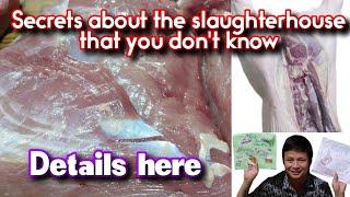 The secret about the pig slaughterhouse that you dont know