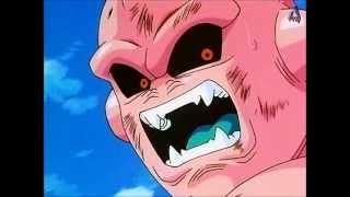 Buu not Boo Boo