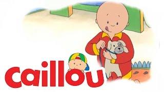 Caillou - Caillou Walks a Dog  S01E50  Cartoon for Kids