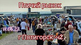 Pigeons prices Bird market Pyatigorsk - h2