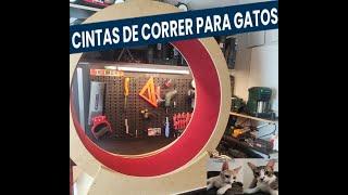 Como construir una cinta de correr casera para gatos