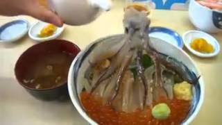 OCTOPUS EATEN ALIVE IN JAPAN