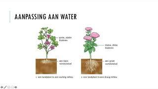 Basis 2 - 6.5 AANPASSINGEN BIJ PLANTEN